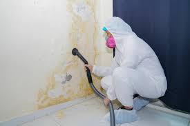 Mold Remediation